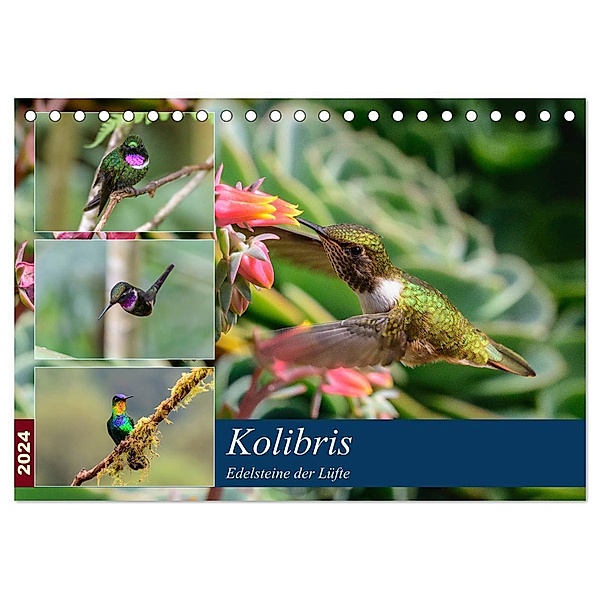 Kolibris - Edelsteine der Lüfte (Tischkalender 2024 DIN A5 quer), CALVENDO Monatskalender, Jürgen Wöhlke