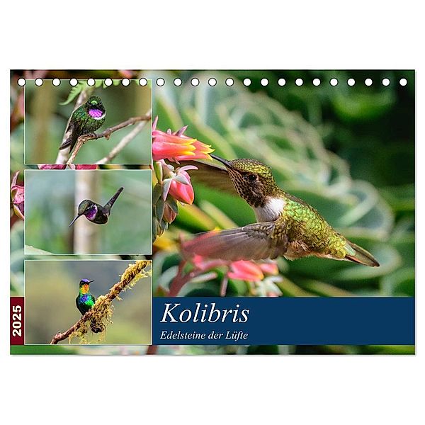 Kolibris - Edelsteine der Lüfte (Tischkalender 2025 DIN A5 quer), CALVENDO Monatskalender, Calvendo, Jürgen Wöhlke