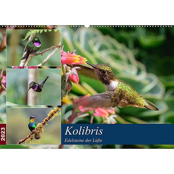 Kolibris - Edelsteine der Lüfte (Wandkalender 2023 DIN A2 quer), Jürgen Wöhlke