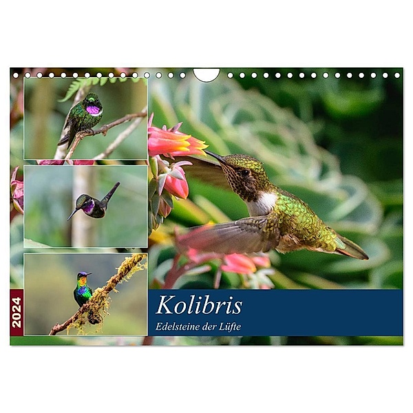 Kolibris - Edelsteine der Lüfte (Wandkalender 2024 DIN A4 quer), CALVENDO Monatskalender, Jürgen Wöhlke