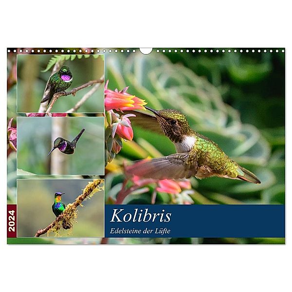 Kolibris - Edelsteine der Lüfte (Wandkalender 2024 DIN A3 quer), CALVENDO Monatskalender, Jürgen Wöhlke