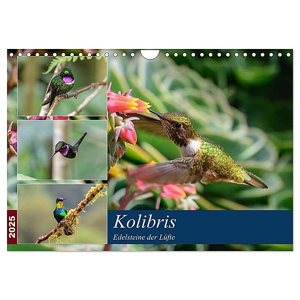 Kolibris - Edelsteine der Lüfte (Wandkalender 2025 DIN A4 quer), CALVENDO Monatskalender, Calvendo, Jürgen Wöhlke