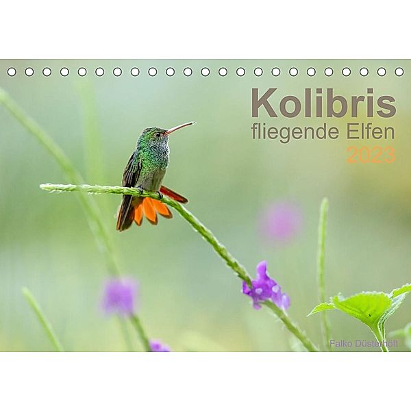 Kolibris - fliegende Elfen (Tischkalender 2023 DIN A5 quer), Falko Düsterhöft