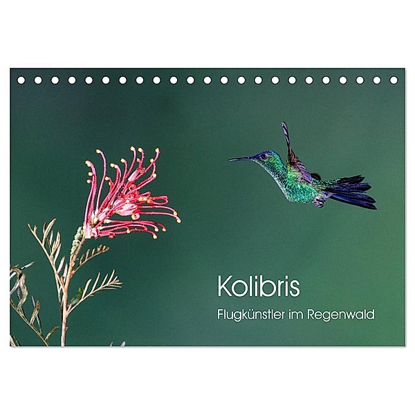 Kolibris - Flugkünstler im Regenwald (Tischkalender 2024 DIN A5 quer), CALVENDO Monatskalender, David Oberholzer
