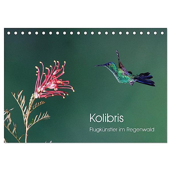Kolibris - Flugkünstler im Regenwald (Tischkalender 2025 DIN A5 quer), CALVENDO Monatskalender, Calvendo, David Oberholzer
