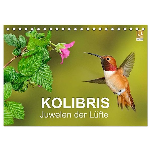 Kolibris - Juwelen der Lüfte (Tischkalender 2024 DIN A5 quer), CALVENDO Monatskalender, BIA - birdimagency