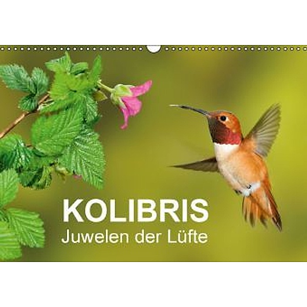 Kolibris - Juwelen der Lüfte (Wandkalender 2016 DIN A3 quer), BIA - birdimagency