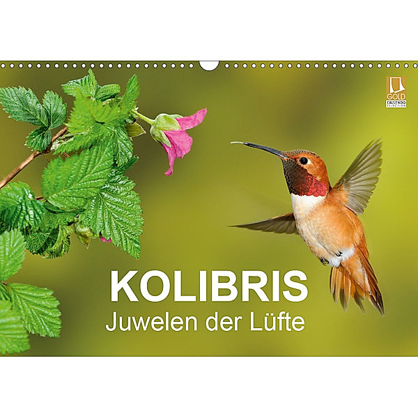 Kolibris - Juwelen der Lüfte (Wandkalender 2020 DIN A3 quer), BIA - birdimagency