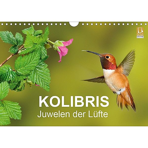 Kolibris - Juwelen der Lüfte (Wandkalender 2021 DIN A4 quer), BIA - birdimagency