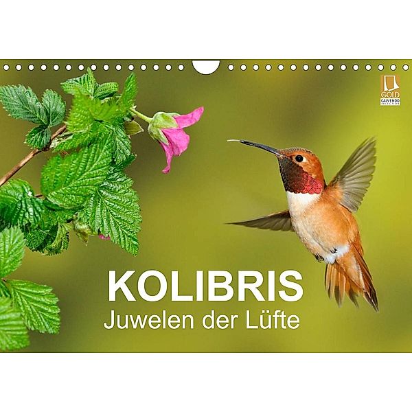 Kolibris - Juwelen der Lüfte (Wandkalender 2023 DIN A4 quer), BIA - birdimagency