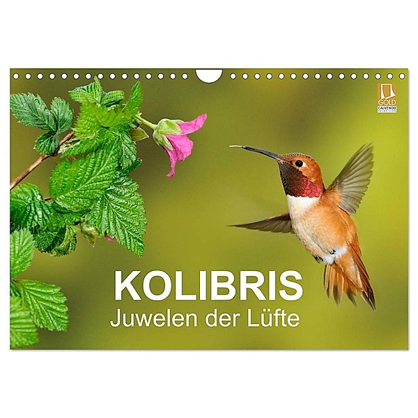 Kolibris - Juwelen der Lüfte (Wandkalender 2024 DIN A4 quer), CALVENDO Monatskalender, BIA - birdimagency