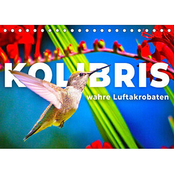 Kolibris - wahre Luftakrobaten (Tischkalender 2022 DIN A5 quer), SF