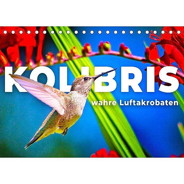 Kolibris - wahre Luftakrobaten (Tischkalender 2023 DIN A5 quer), SF