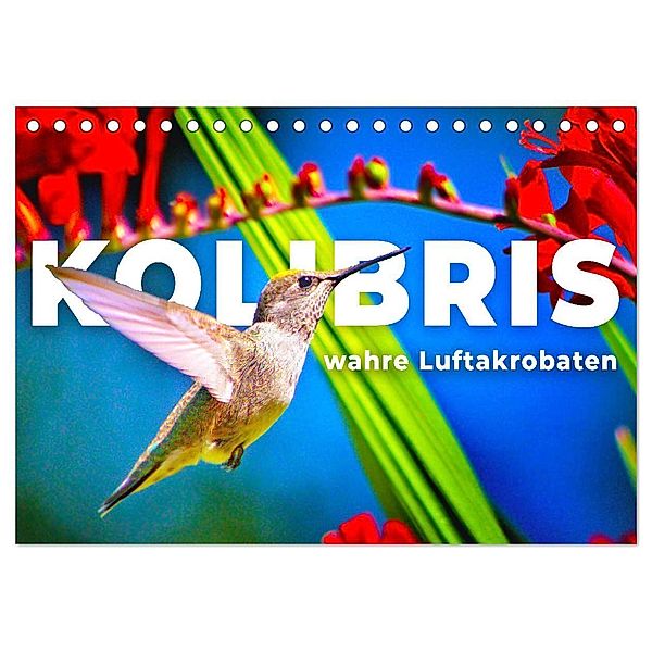 Kolibris - wahre Luftakrobaten (Tischkalender 2025 DIN A5 quer), CALVENDO Monatskalender, Calvendo, Happy Monkey