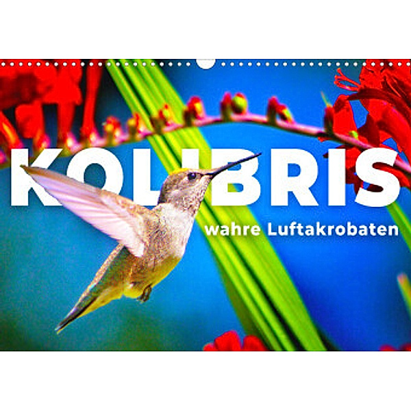 Kolibris - wahre Luftakrobaten (Wandkalender 2022 DIN A3 quer), SF