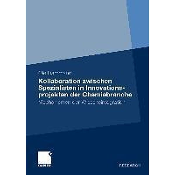 Kollaboration zwischen Spezialisten in Innovationsprojekten der Chemiebranche, Ole Dammann