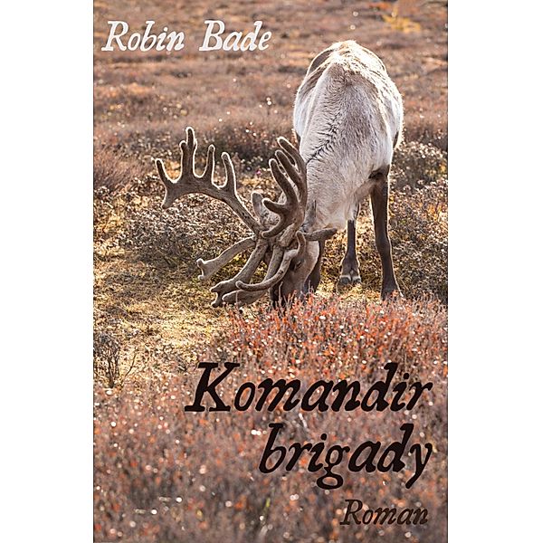 Komandir brigady, Robin Bade