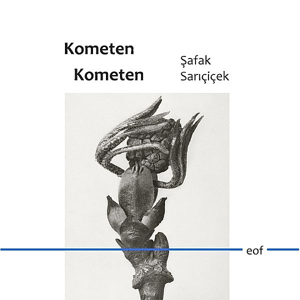 Kometen Kometen, Safak Saricicek