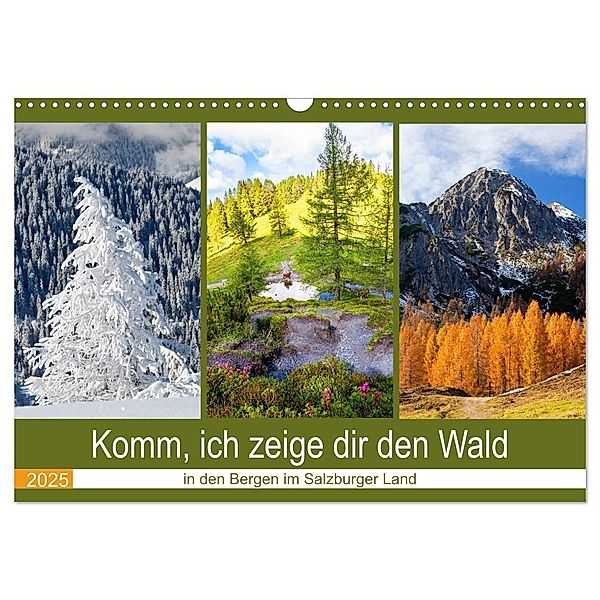 Komm, ich zeige dir den Wald (Wandkalender 2025 DIN A3 quer), CALVENDO Monatskalender, Calvendo, Christa Kramer