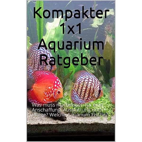 Kompakter 1x1 Aquarium Ratgeber, Powerlifting check