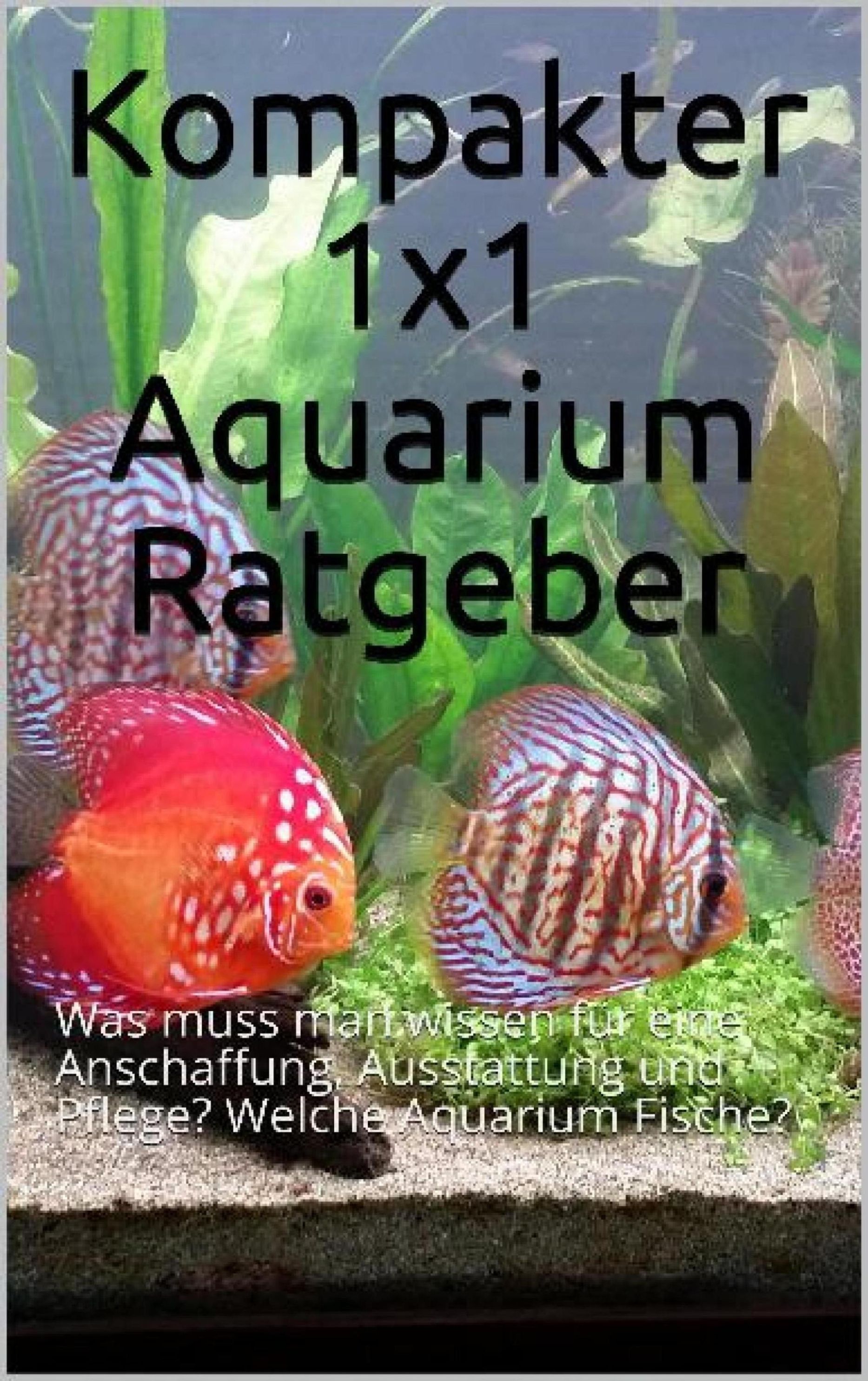 Standard Aquarium Maße – Die 16 besten Produkte im Vergleich -  Haustierratgeber Ratgeber