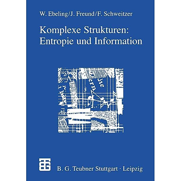 Komplexe Strukturen: Entropie und Information, Jan Freund, Frank Schweitzer