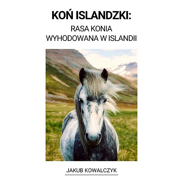 Kon Islandzki:  Rasa Konia Wyhodowana w Islandii, Jakub Kowalczyk