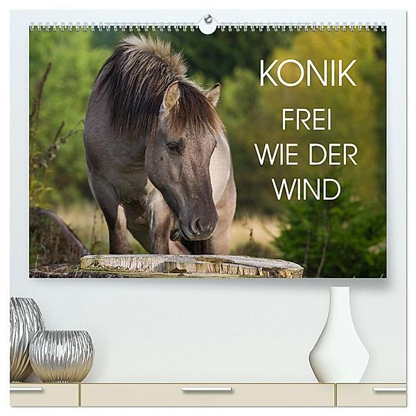 Konik - Frei geboren (hochwertiger Premium Wandkalender 2025 DIN A2 quer), Kunstdruck in Hochglanz, Calvendo, Sigrid Starick
