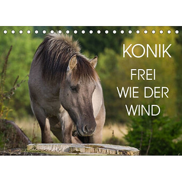 Konik - Frei geboren (Tischkalender 2022 DIN A5 quer), Sigrid Starick
