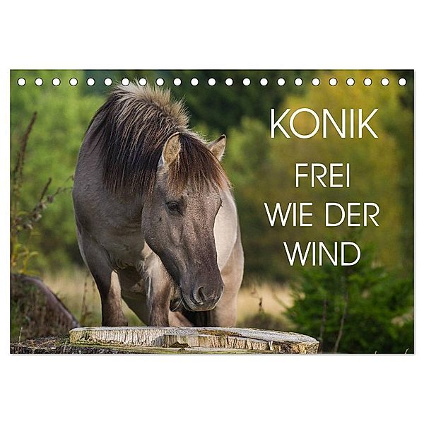 Konik - Frei geboren (Tischkalender 2025 DIN A5 quer), CALVENDO Monatskalender, Calvendo, Sigrid Starick