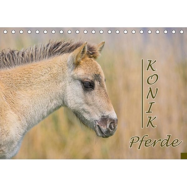 Konik-Pferde (Tischkalender 2020 DIN A5 quer), Rainer Kulartz