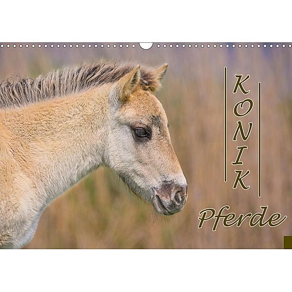 Konik-Pferde (Wandkalender 2021 DIN A3 quer), Rainer Kulartz, Lisa Plett