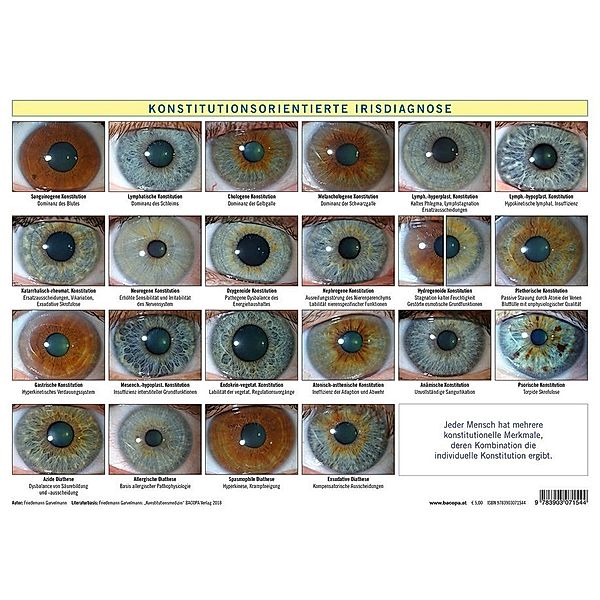 Konstitutionsorientierte Irisdiagnose, Tafel, Friedemann Garvelmann