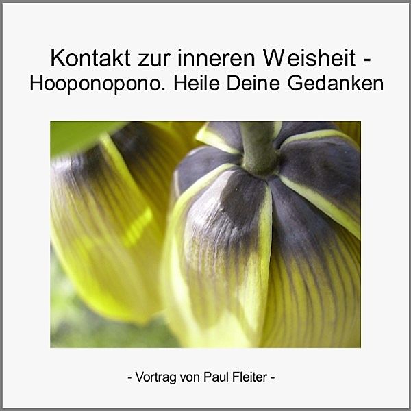 Kontakt zur inneren Weisheit & Hooponopono, Paul Fleiter