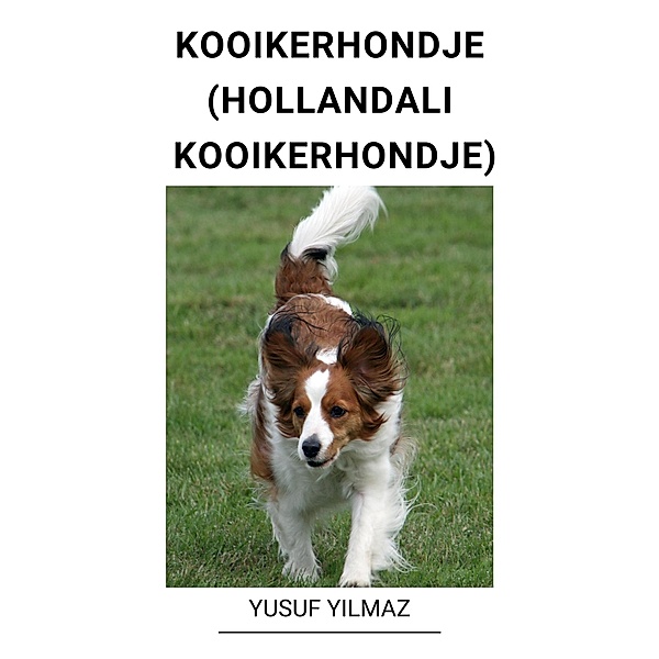 Kooikerhondje (Hollandali Kooikerhondje), Yusuf Yilmaz