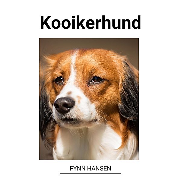 Kooikerhund, Fynn Hansen