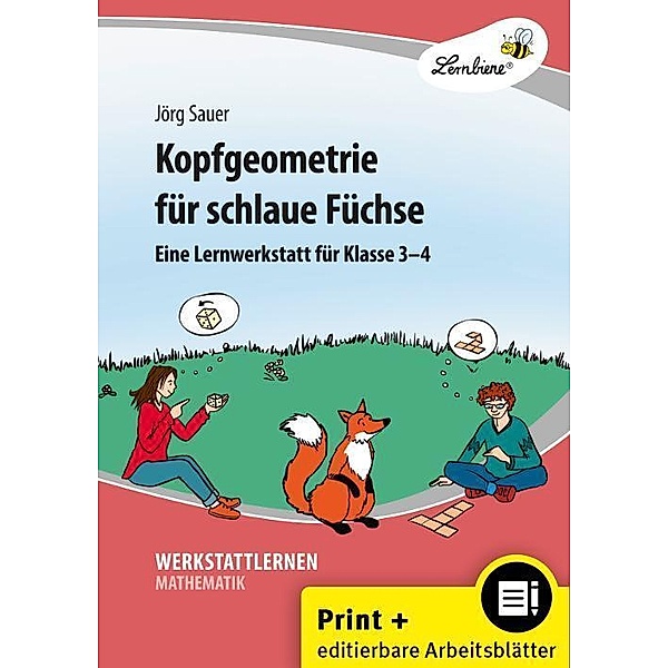 Kopfgeometrie für schlaue Füchse, m. 1 CD-ROM, Jörg Sauer