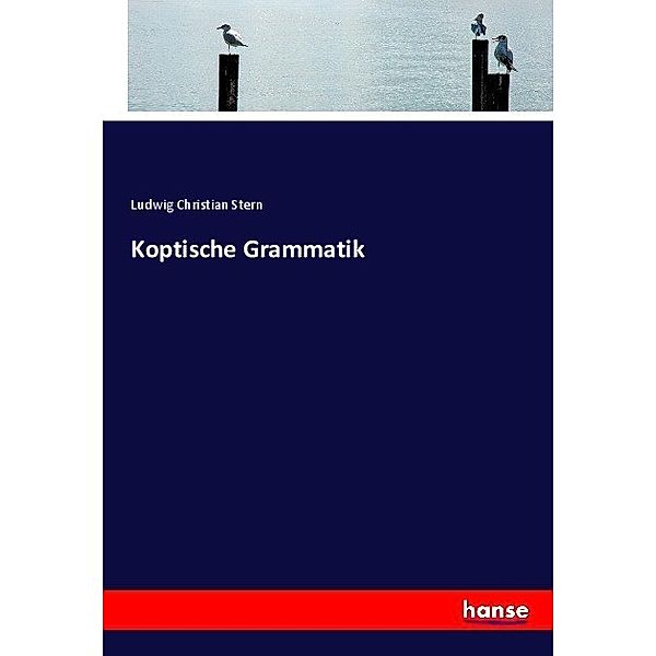 Koptische Grammatik, Ludwig Christian Stern