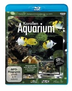 Image of Korallen-Aquarium