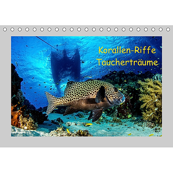 Korallen-Riffe Taucherträume (Tischkalender 2019 DIN A5 quer), Sascha Caballero