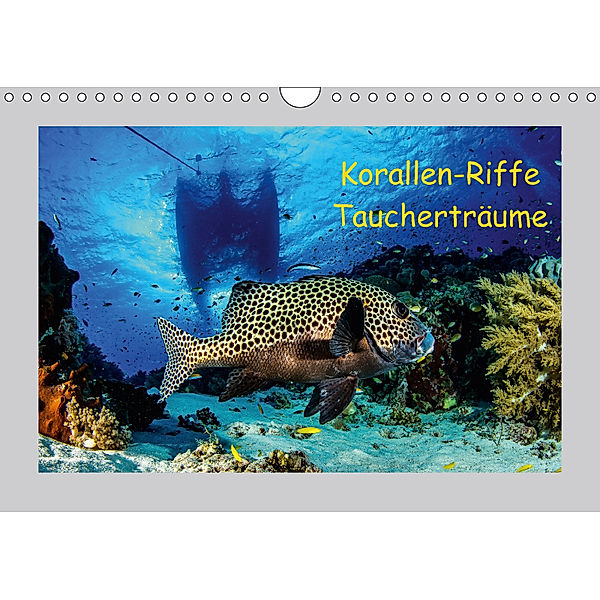 Korallen-Riffe Taucherträume (Wandkalender 2018 DIN A4 quer), Sascha Caballero