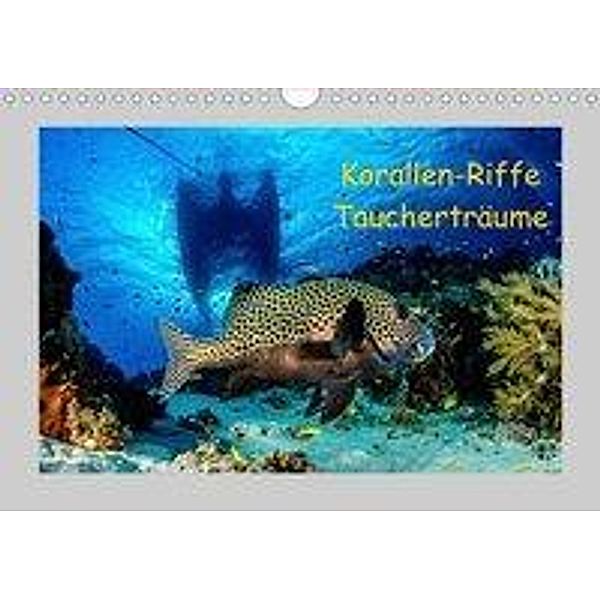 Korallen-Riffe Taucherträume (Wandkalender 2020 DIN A4 quer), Sascha Caballero