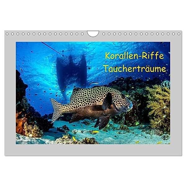Korallen-Riffe Taucherträume (Wandkalender 2024 DIN A4 quer), CALVENDO Monatskalender, Sascha Caballero