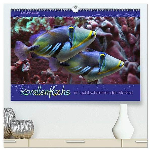 Korallenfische im Lichtschimmer des Meeres (hochwertiger Premium Wandkalender 2024 DIN A2 quer), Kunstdruck in Hochglanz, Heinz Schmidbauer