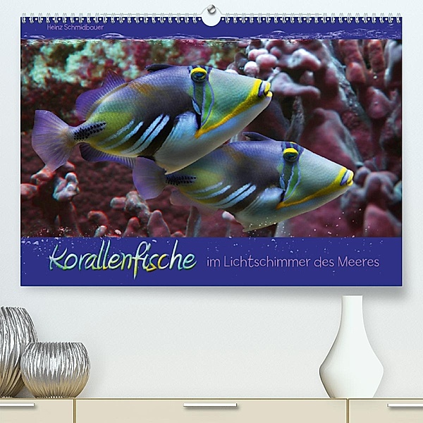 Korallenfische im Lichtschimmer des Meeres (Premium, hochwertiger DIN A2 Wandkalender 2020, Kunstdruck in Hochglanz), Heinz Schmidbauer