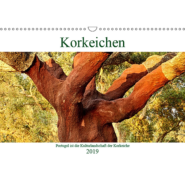 Korkeichen (Wandkalender 2019 DIN A3 quer), Andreas Riedmiller