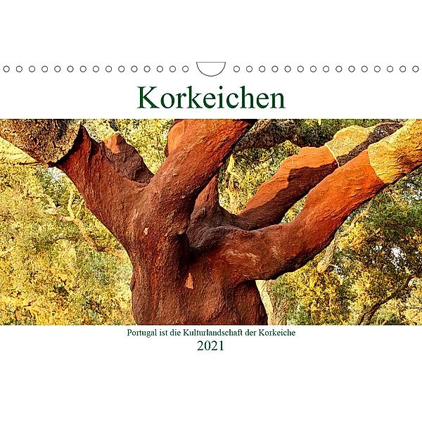 Korkeichen (Wandkalender 2021 DIN A4 quer), Andreas Riedmiller