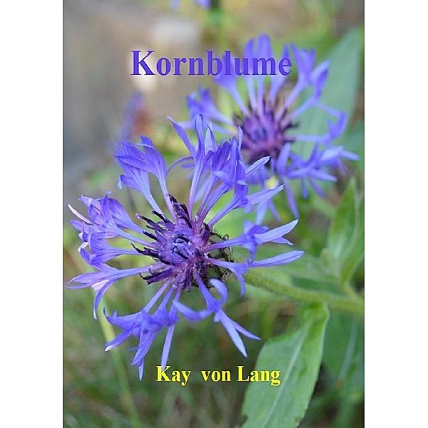 Kornblume, Kay von Lang