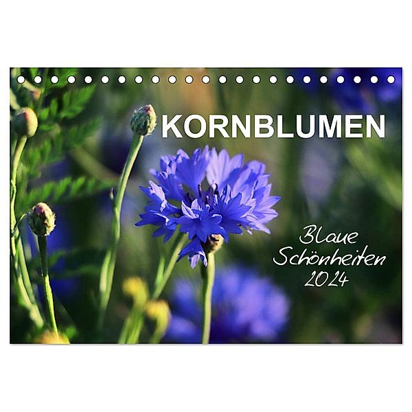 Kornblumen - Blaue Schönheiten (Tischkalender 2024 DIN A5 quer), CALVENDO Monatskalender, Sabine Löwer