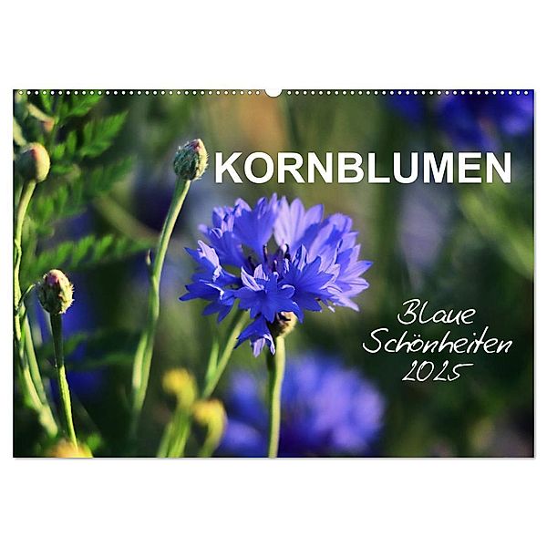 Kornblumen - Blaue Schönheiten (Wandkalender 2025 DIN A2 quer), CALVENDO Monatskalender, Calvendo, Sabine Löwer